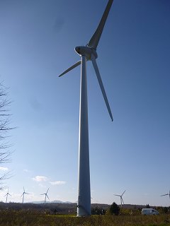 s-P1050098風力発電の大きさ