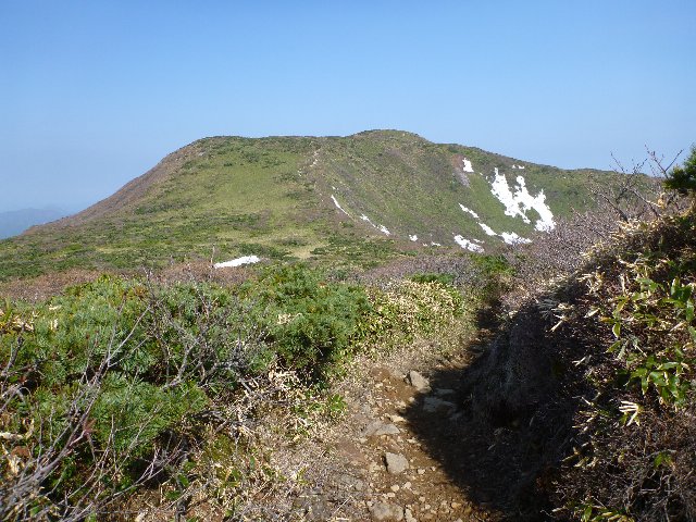 笹とハイマツの登山道