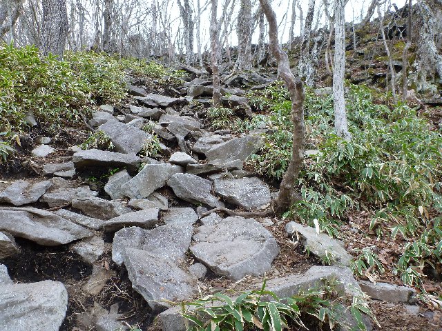 石ざれの登山道