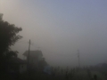 10濃霧 (3)