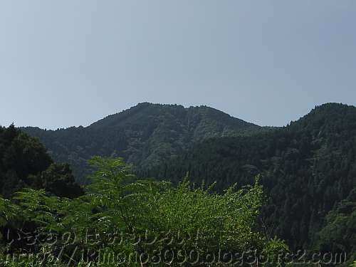 ガンドガコバ林道から見た金剛山