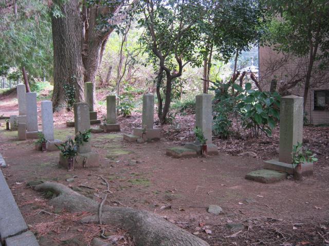 静岡陸軍墓地２ (4)