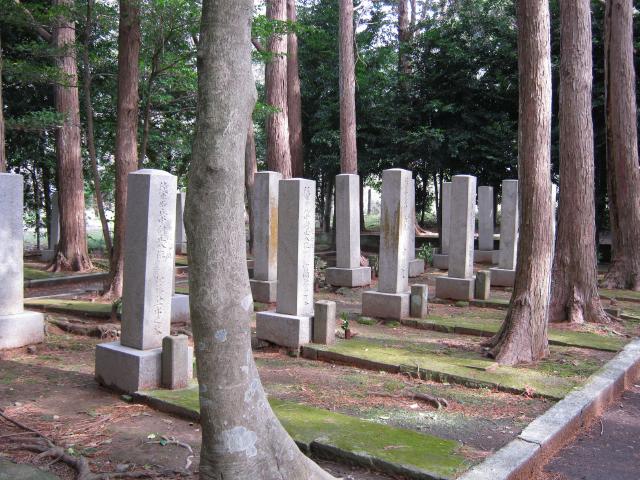 静岡陸軍墓地２ (8)