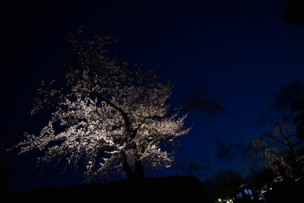 ２０１３年４月１１日 第１０回上田城千本桜祭り