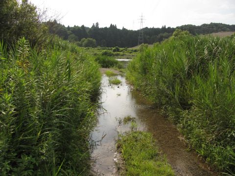 松尾川の渡し跡