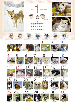 s-2015_365wankonyanko_calendar1.jpg
