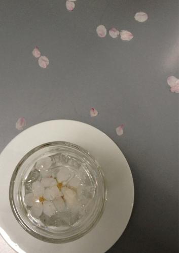 2013-4月桜Tea