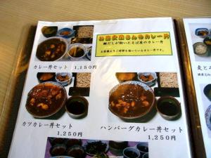 12-11-11　品カレー丼