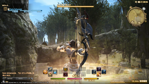 FF14PS3010.png