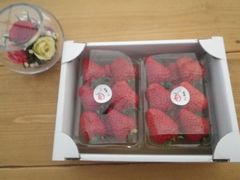 ［写真］ポレポレ苺の２パック入り小箱
