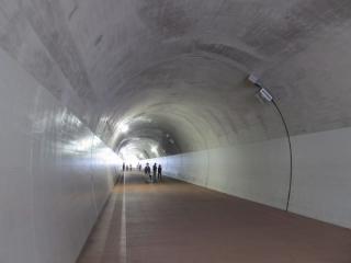 高島山トンネル内部。壁面には照明やPR用の旗を掲出する台座が設置されている。
