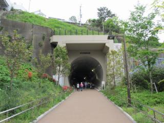 高島山トンネル横浜駅側坑門。落石除けは東横線地上時代から設置されているもの。