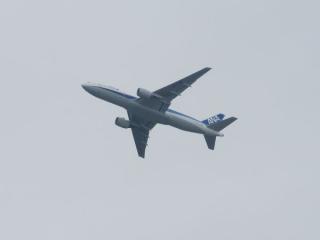 上空は羽田空港を離着陸する航空機が頻繁に横切っていく。