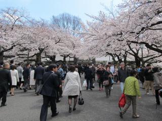 直進すると田安門。この日は日本武道館で法政大学の入学式が行われていたため学生が多かった。